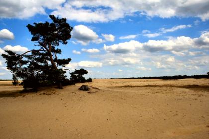 Hoge Veluwe