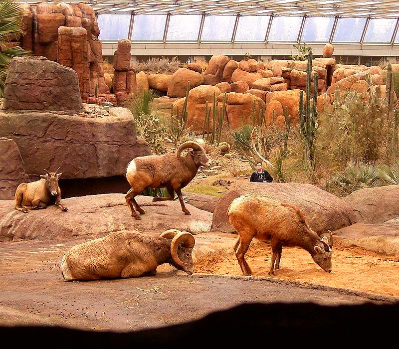 Burgers' Zoo