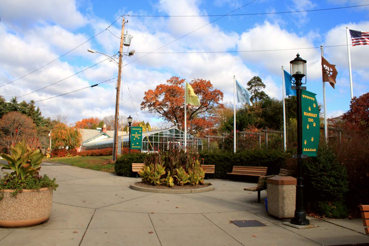 Beardsley Zoo