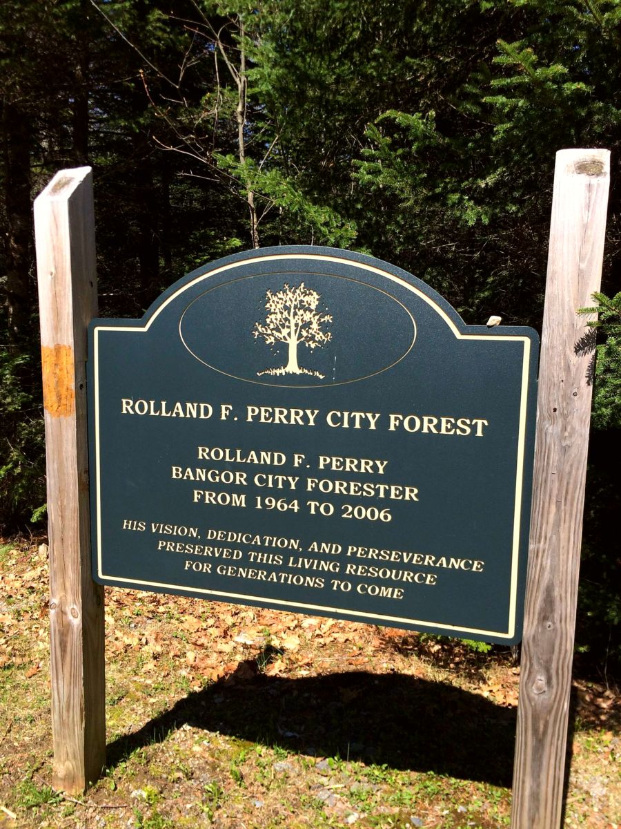 Bangor City Forest