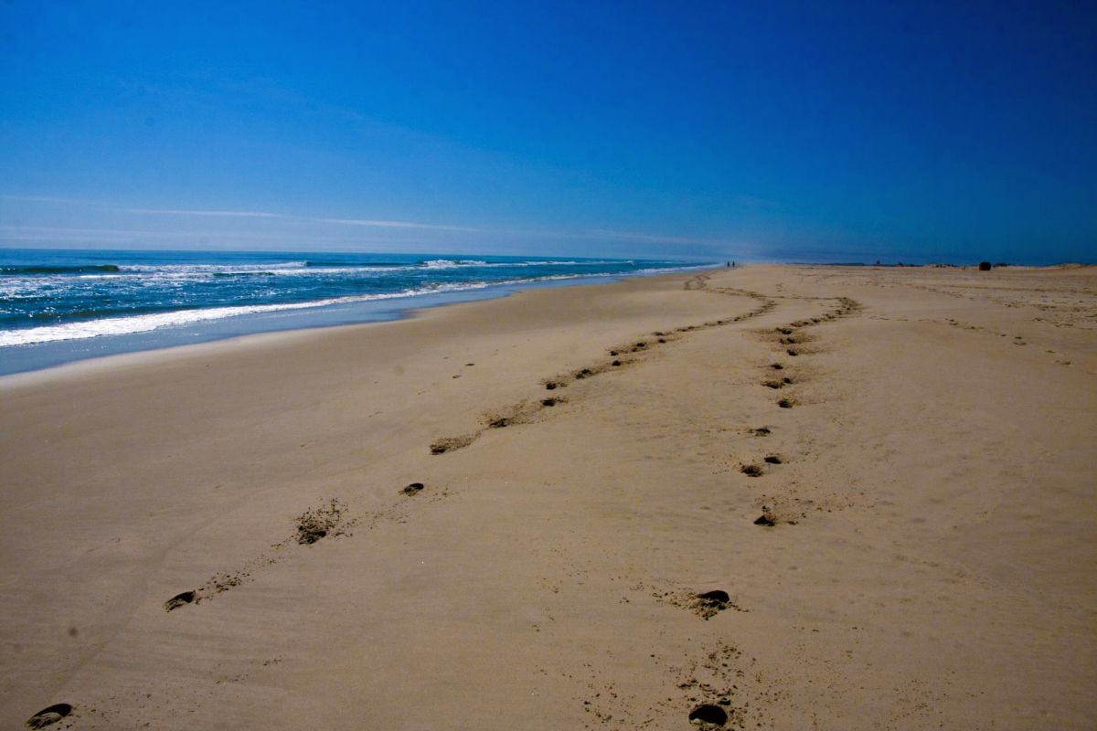 Assateague Island National Seashore