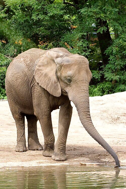 Roger Williams Park Zoo
