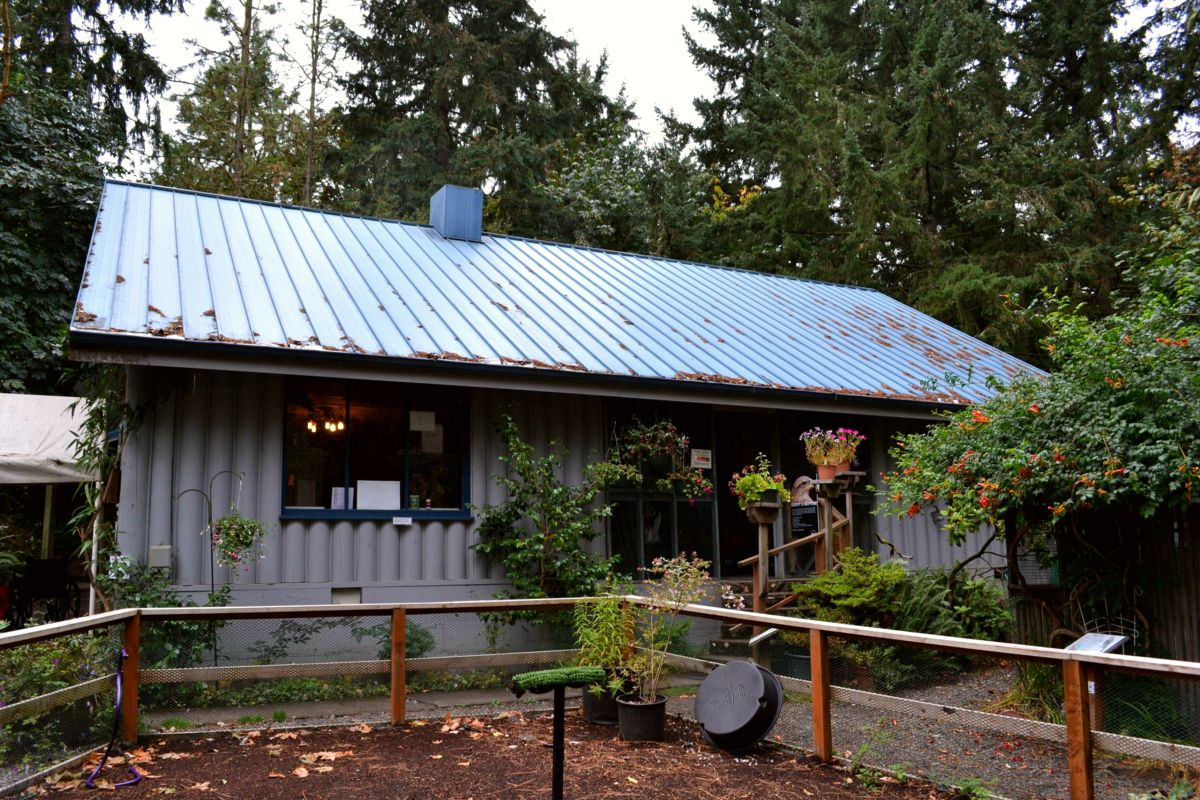 Cascades Raptor Center