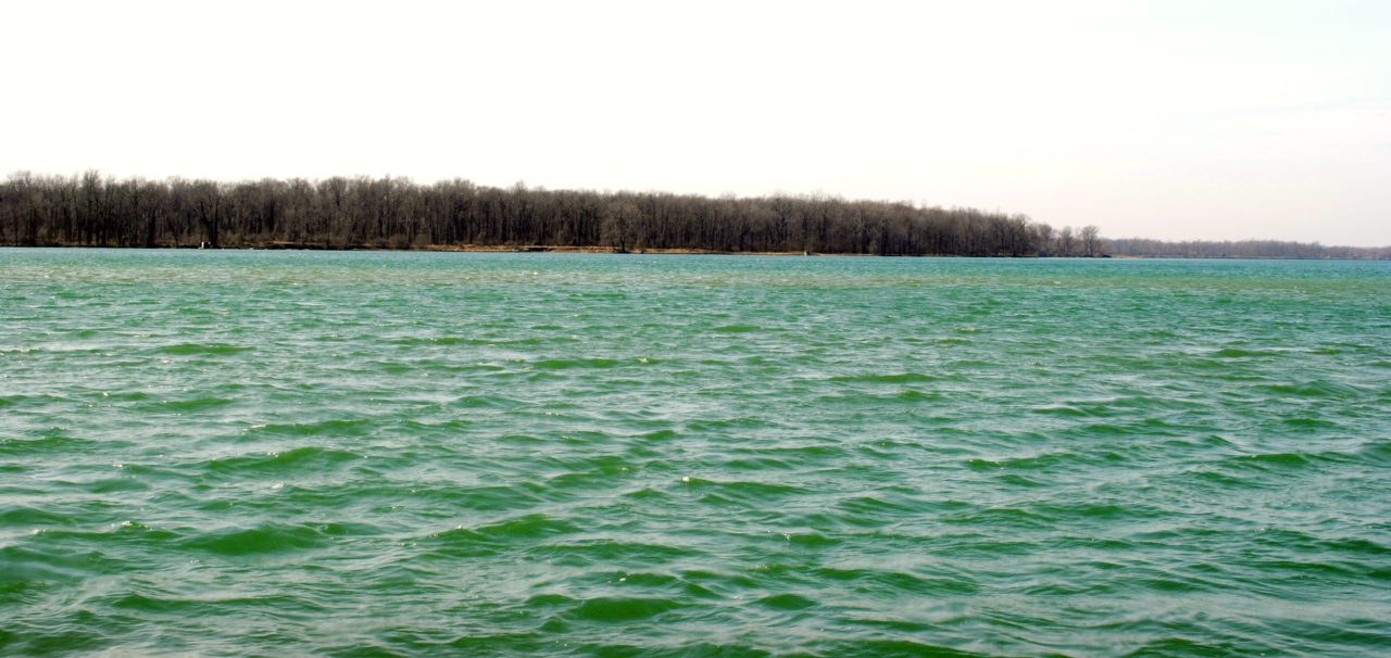 Navy Island