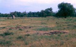 Fort Pierre Chouteau