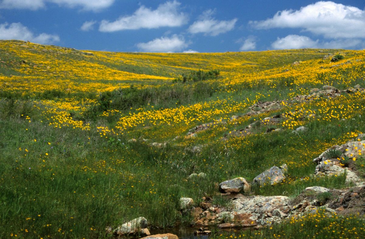 Wichita Mountains Wildlife Refuge