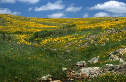 Wichita Mountains Wildlife Refuge